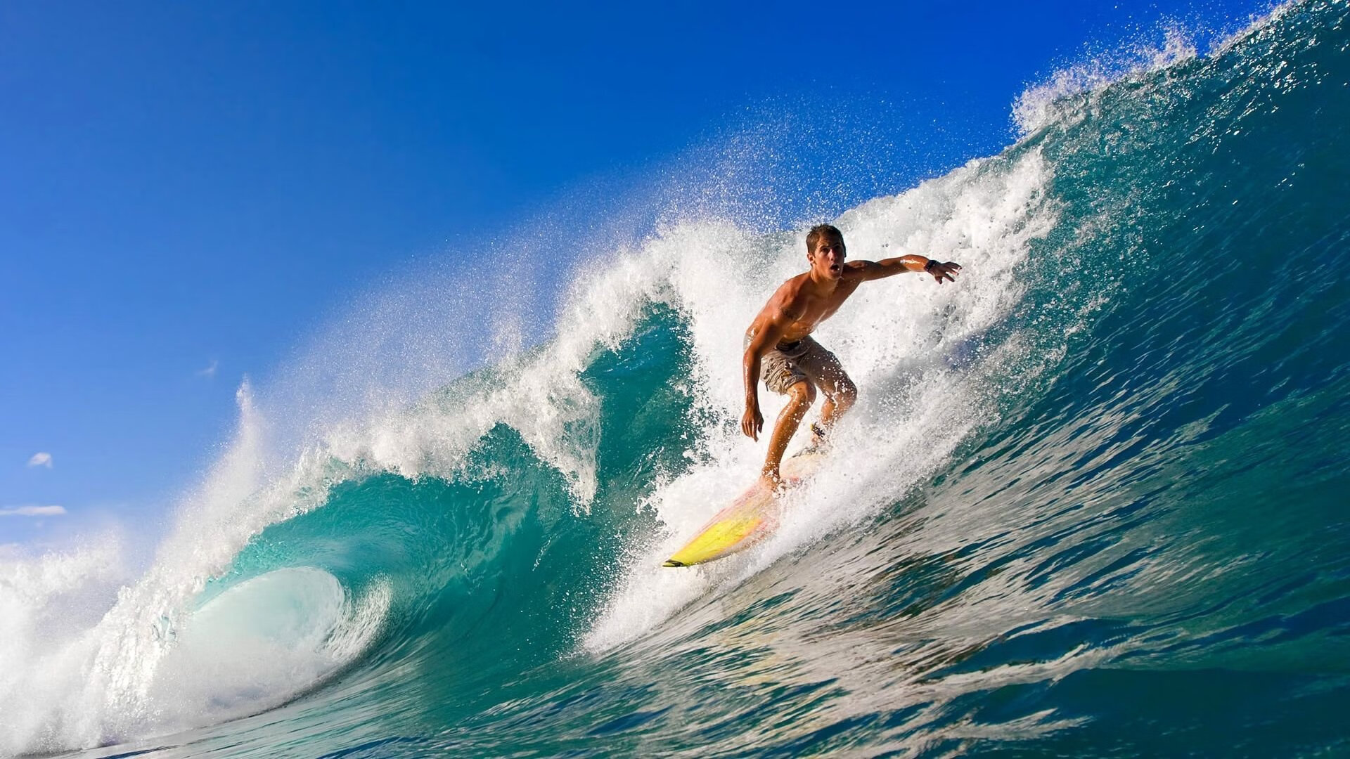 史上“最铁”防线:不可逾越的比赛堡垒